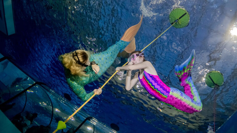 Szkolenia_Akademia_Syren-7